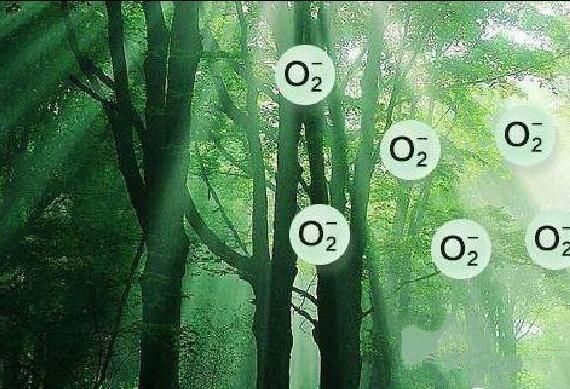 负氧离子自然疗法提高身体自愈力?瀑布边助你改善亚健康