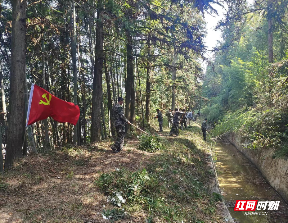 汝城县大坪镇:共护森林绿,让党旗在森防一线飘扬