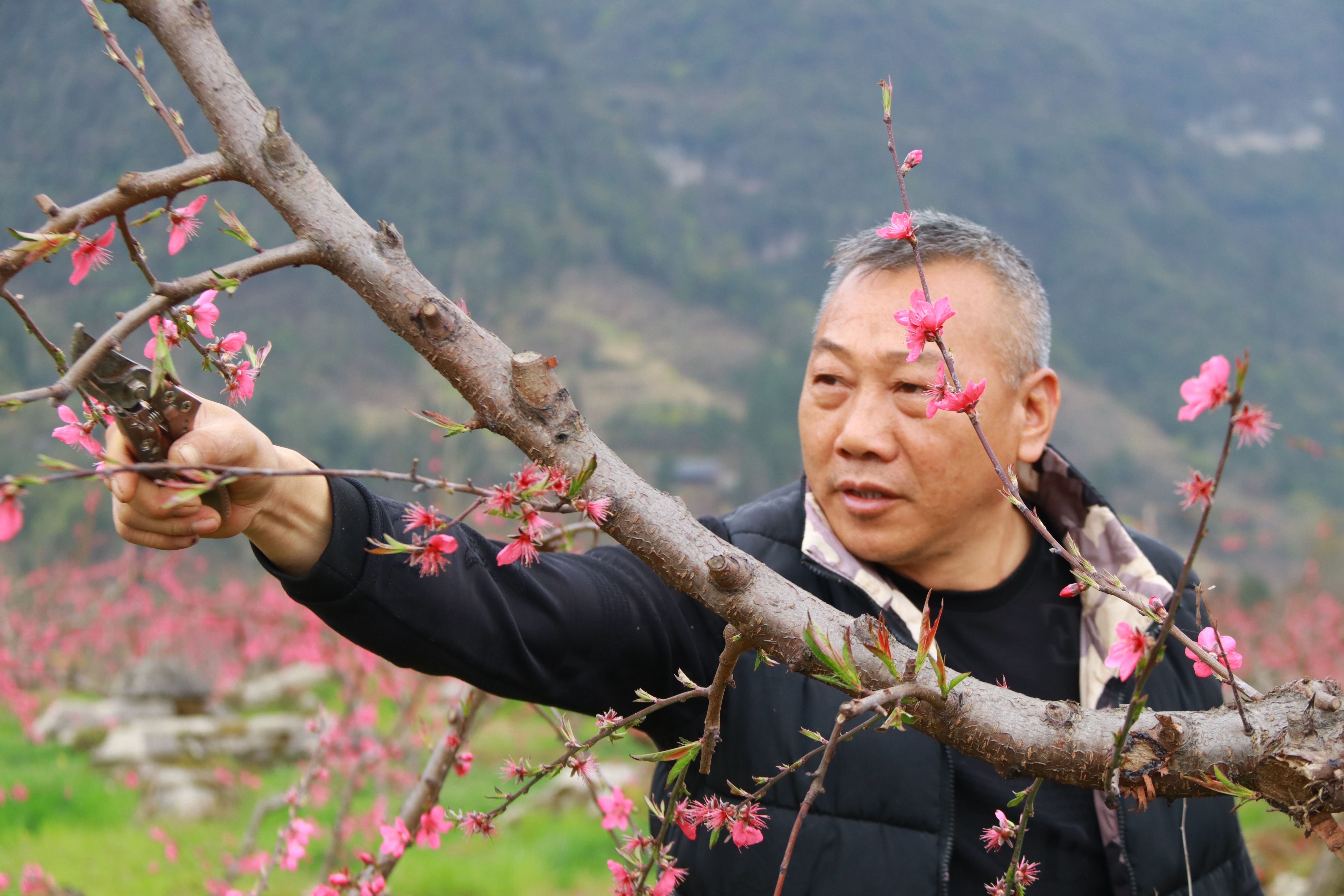 绥阳县宽阔镇图片