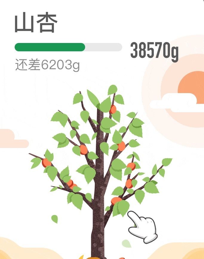 蚂蚁森林上线山杏:结果可以吃,能量最少的大树