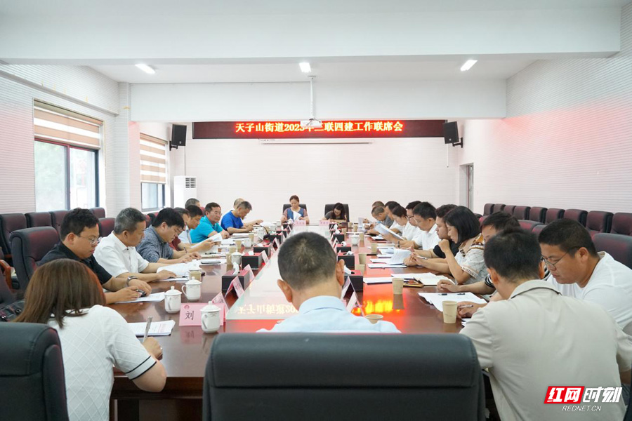 杨洪峰带队调研天子山街道"三联四建"工作