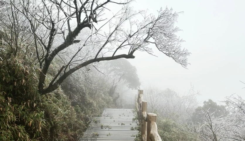 新化大熊山冬天图片