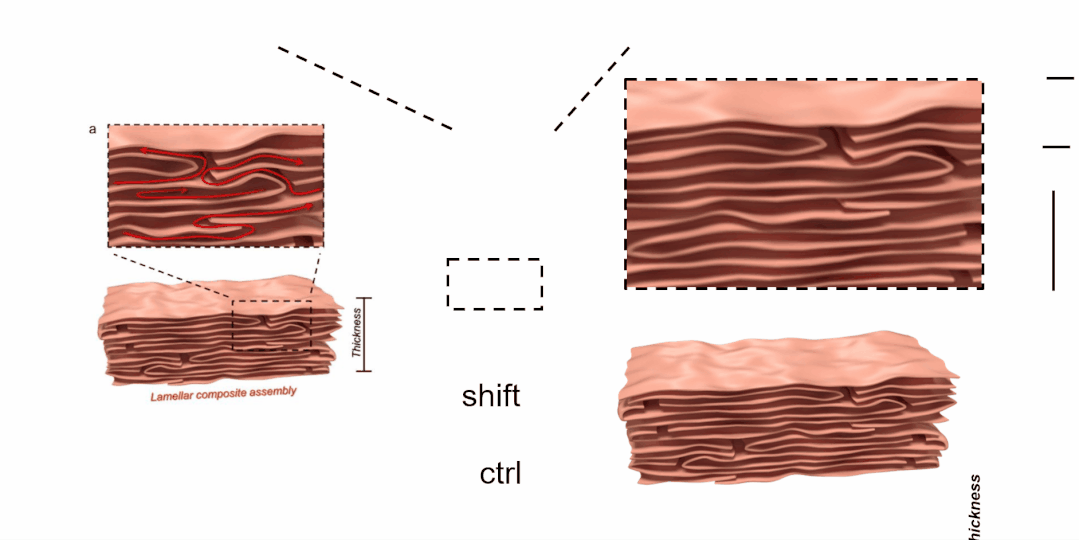 示意图 局部放大效果的ppt画法,简单,实用
