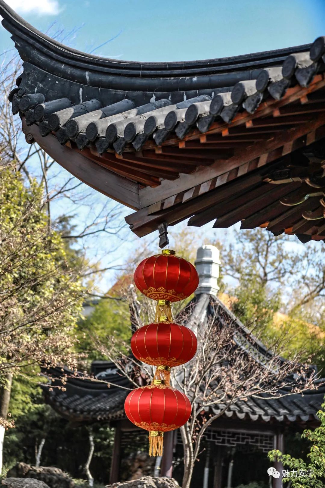 安宁——楠园时光