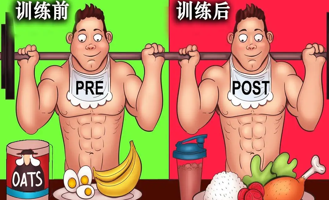 明白增肌原理也就知道怎么增肌了