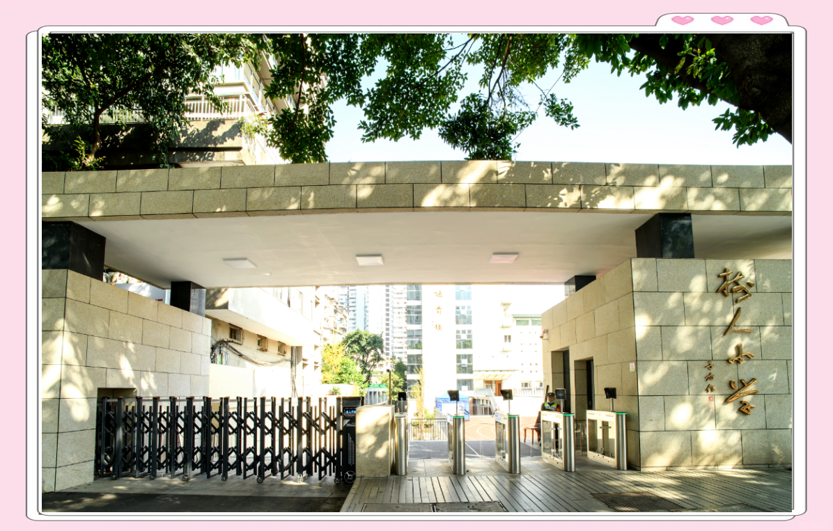 树人小学一年级新生入学详细指南