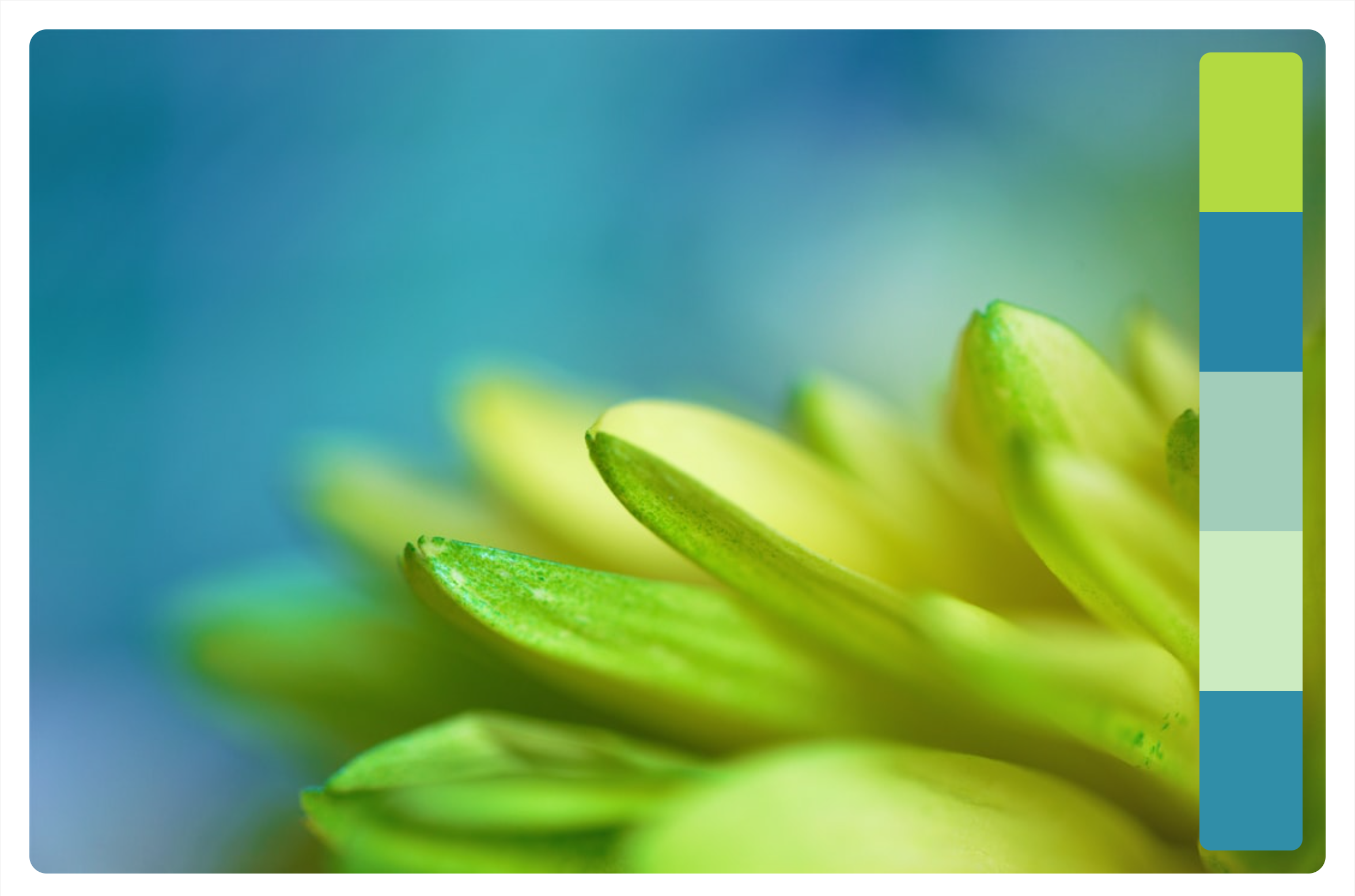 属于这个春天的色彩搭配!