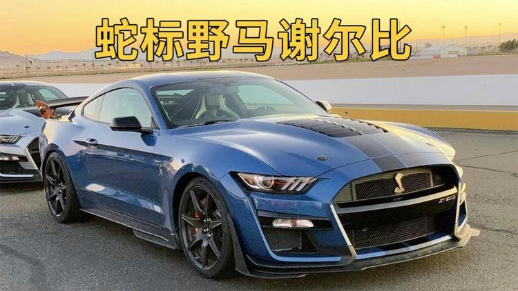 谢尔比眼镜蛇,这款以蛇为标志的汽车品牌,彰显了独特的魅力.