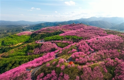 福建省三明市清流县:立足地域资源优势 激活乡村发展潜能