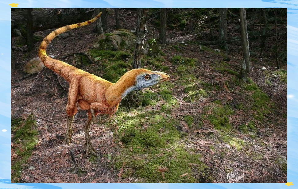 古生物学家在中国发现真实迅猛龙,与电影形象有所不同