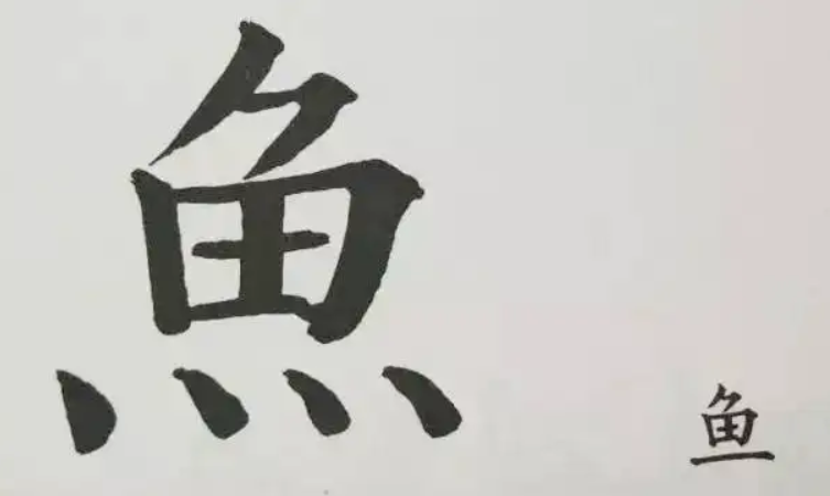 学字头鱼字底是什么字