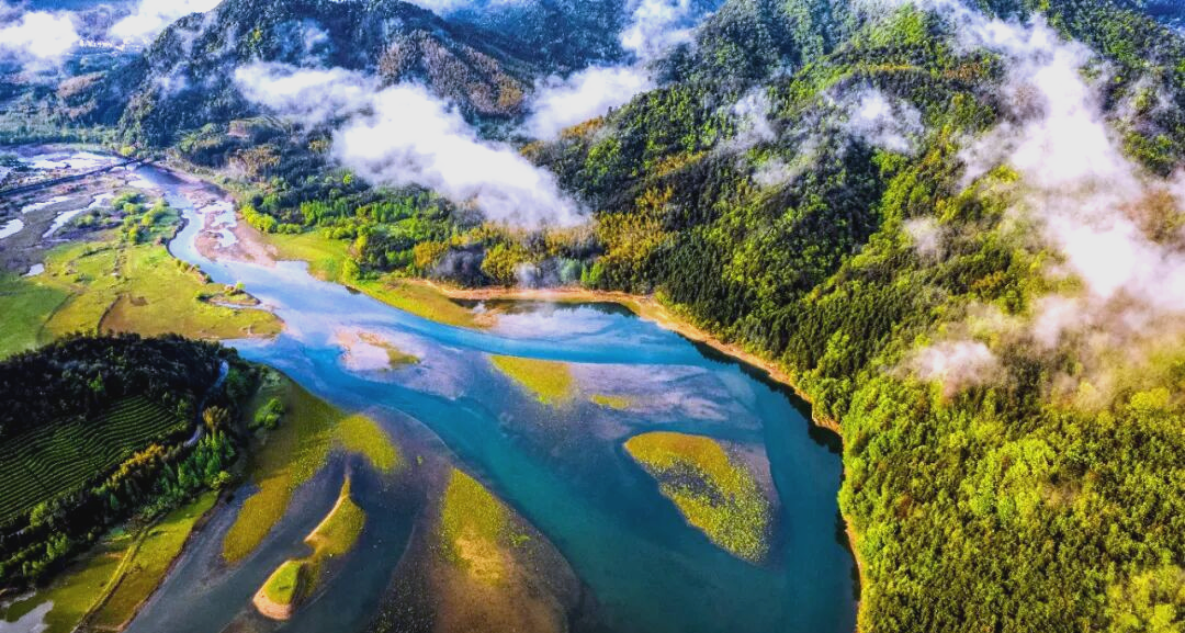 浙江省十大美丽河湖案例及其生态保护实践成果