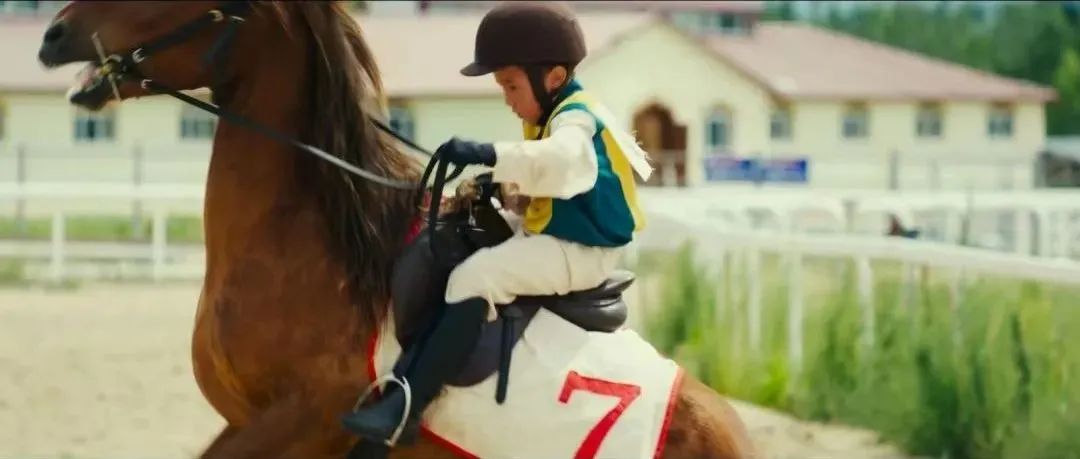 【玩转富蕴】看电影《小马鞭》,深入了解马背上的中华民族对传统文化