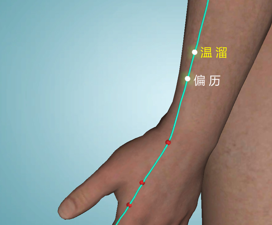 温溜:大肠经的阳热经气在此聚集并缓慢蒸散