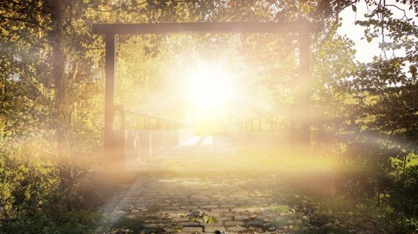 探秘"拉撒路现象"死而复生的奇迹