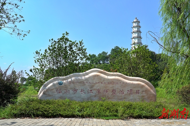 江南镇:长江岸线景如画 稻香鱼肥产业兴