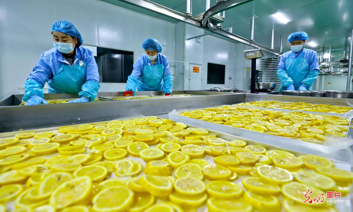 果蔬产业精深加工锻造农特"金链条"