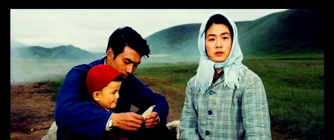 从困境到重生:许灵均与秀芝的坚韧爱情