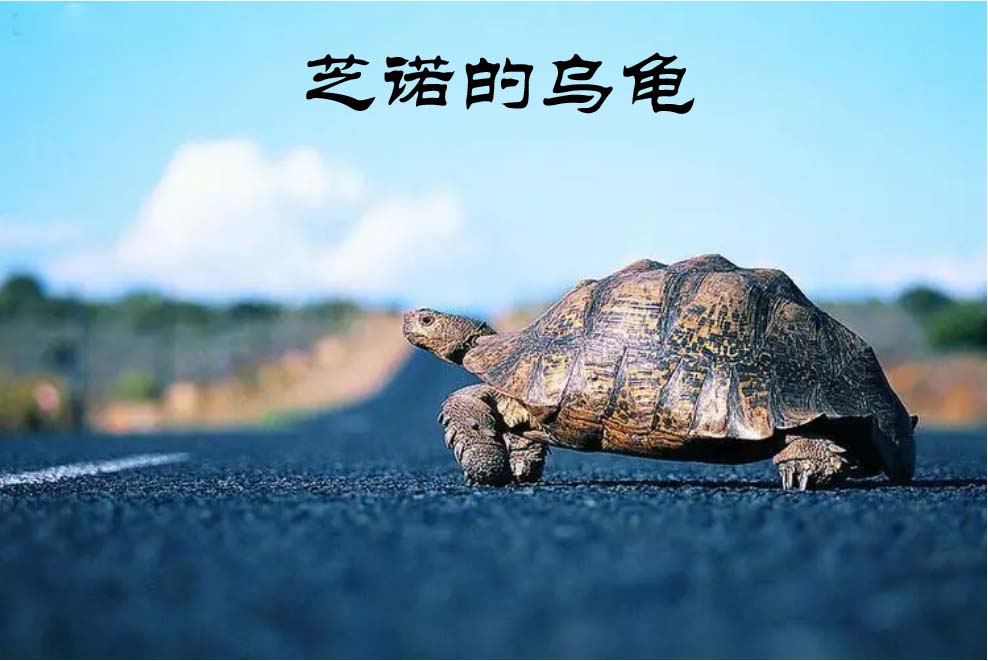 有趣的思想实验——芝诺的乌龟