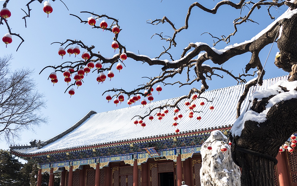 頤和園雪景如詩如畫