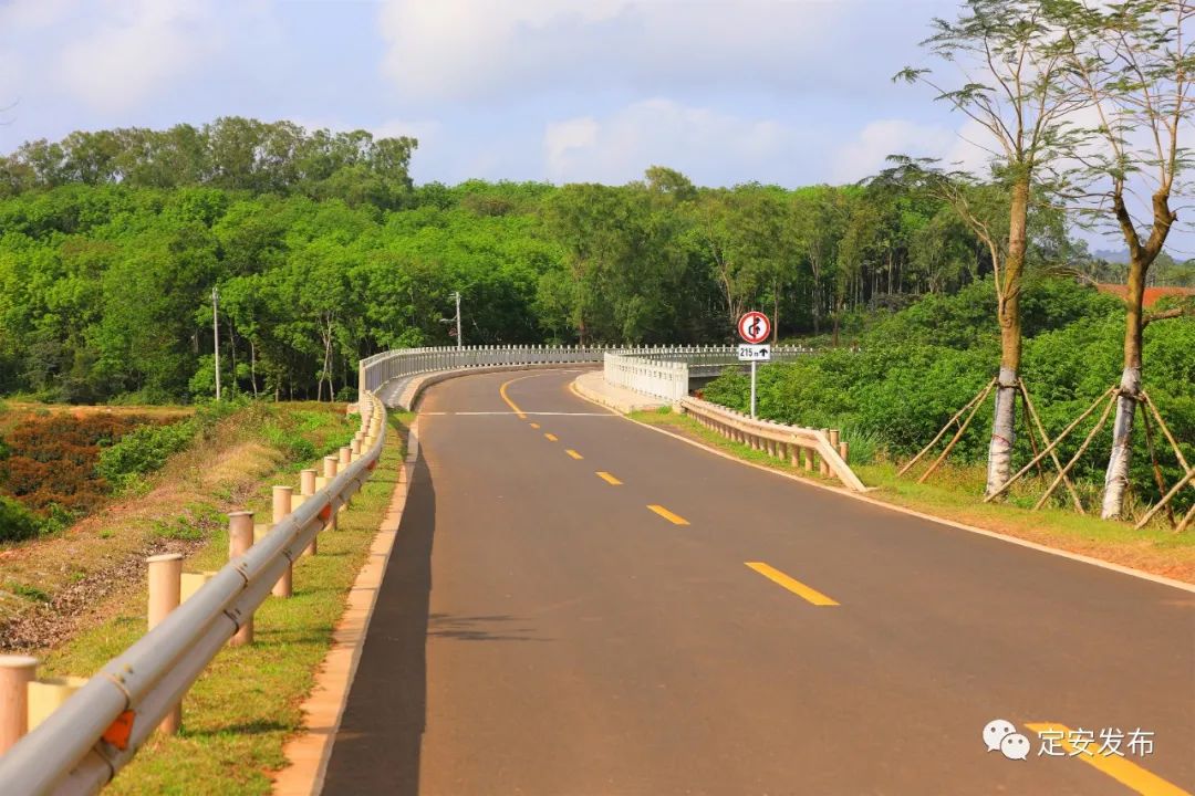 海南最美乡村公路图片