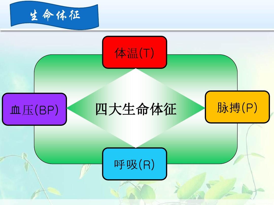 生命体征包括图片