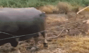 就在今日,除了戴套,你知道还有这6种花式避孕法吗?