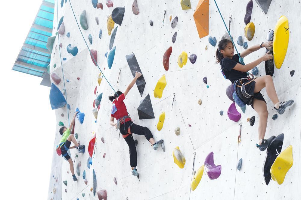 大中小学生成为主力军,广州户外运动节攀岩公开赛落幕