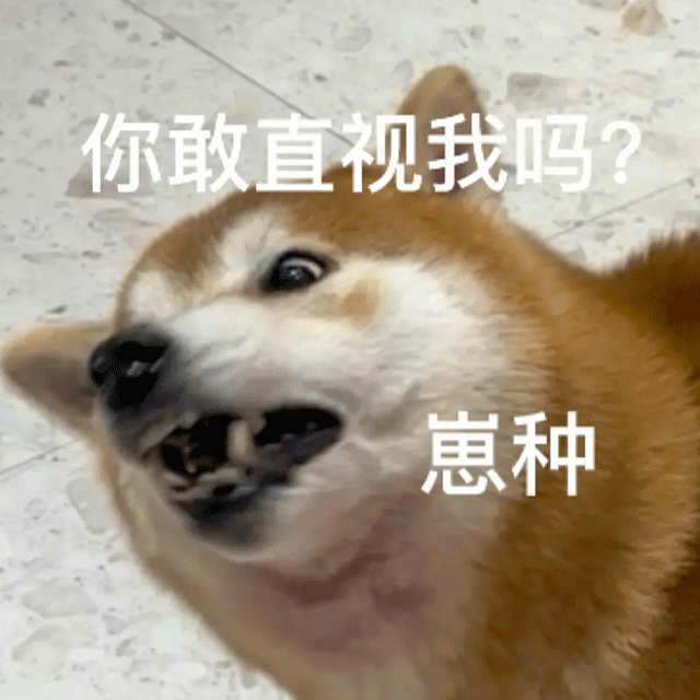 趣味表情包丨给你个抱抱