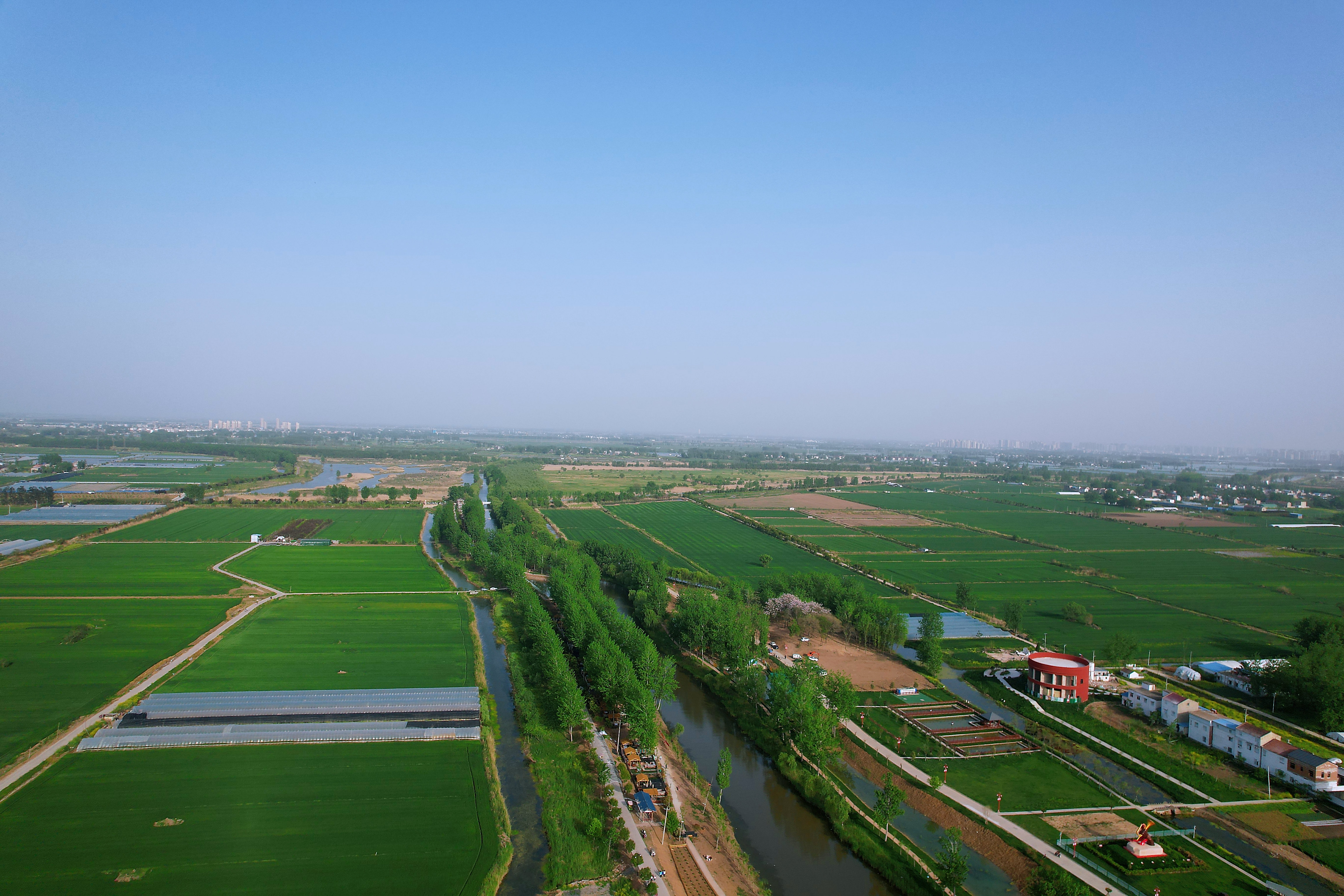 蚌埠龙子湖区李楼乡:"俞园" 成为"生态旅游"新名片