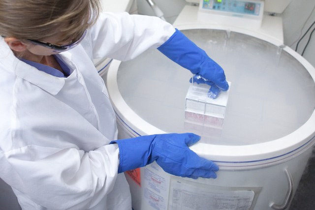 cryotrack深低温rfid电子标签简介