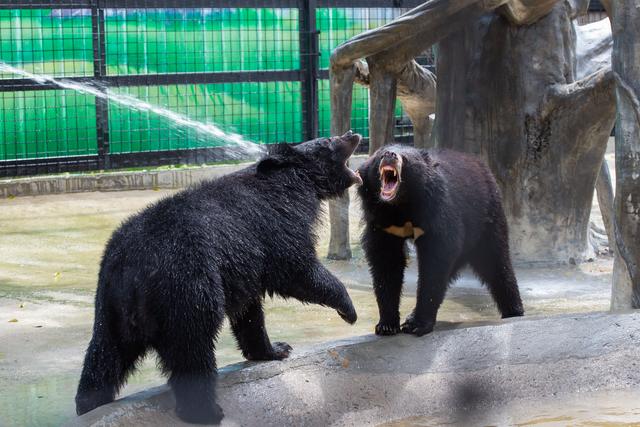 在东莞这家动物园里,带你看尽萌宠百态,太扎心了