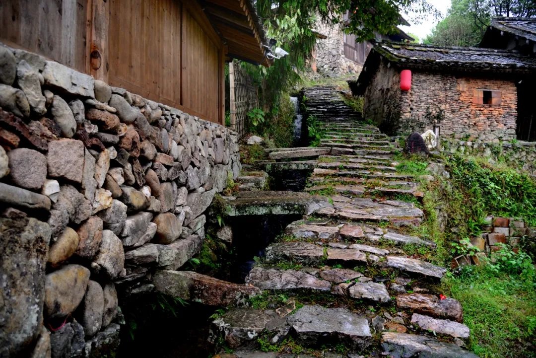 浙南看一看 苍南第一站|褪去浮躁,放慢脚步,徜徉碗窑古村,且听秋韵