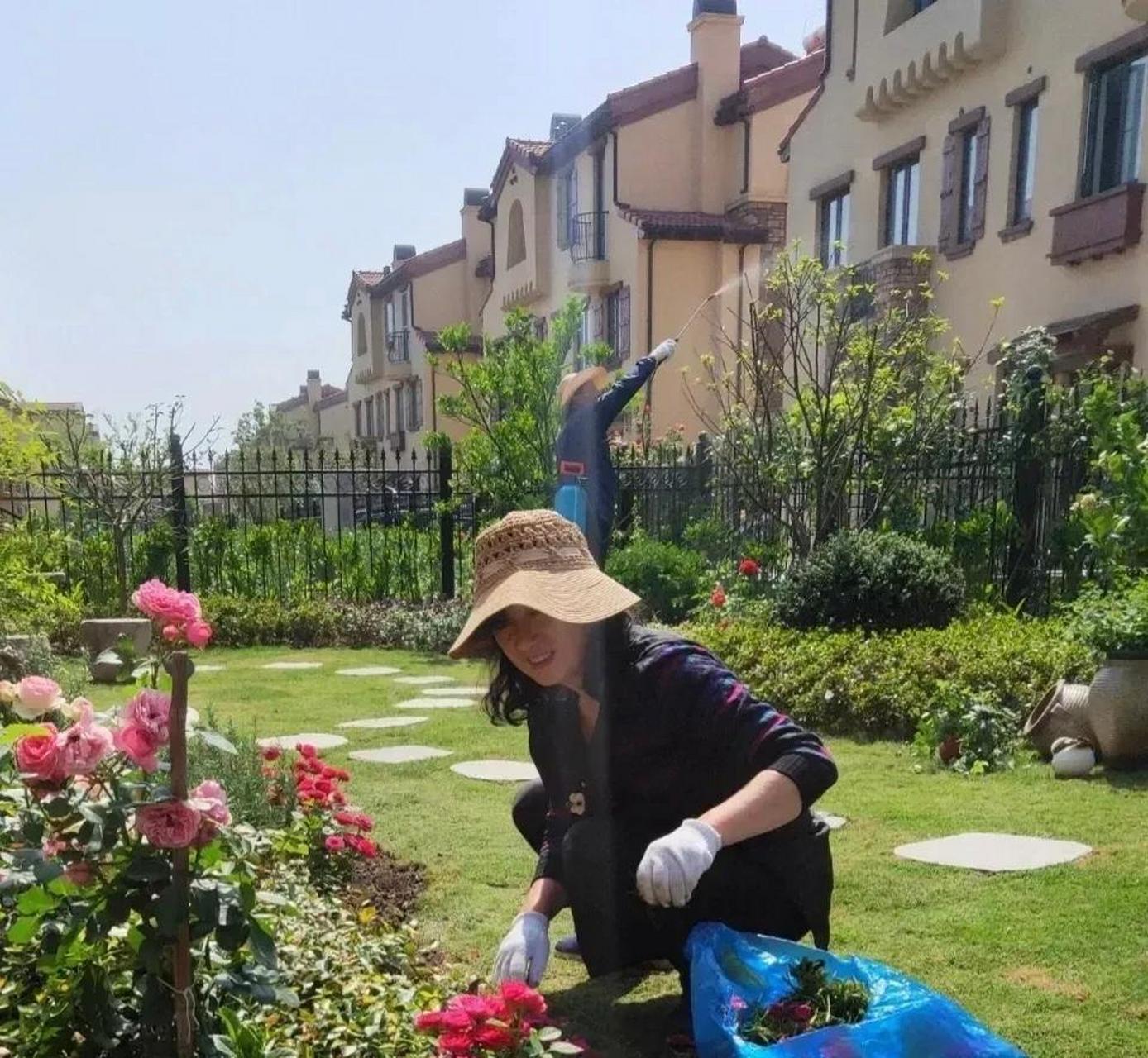 别墅院子里种菜图片