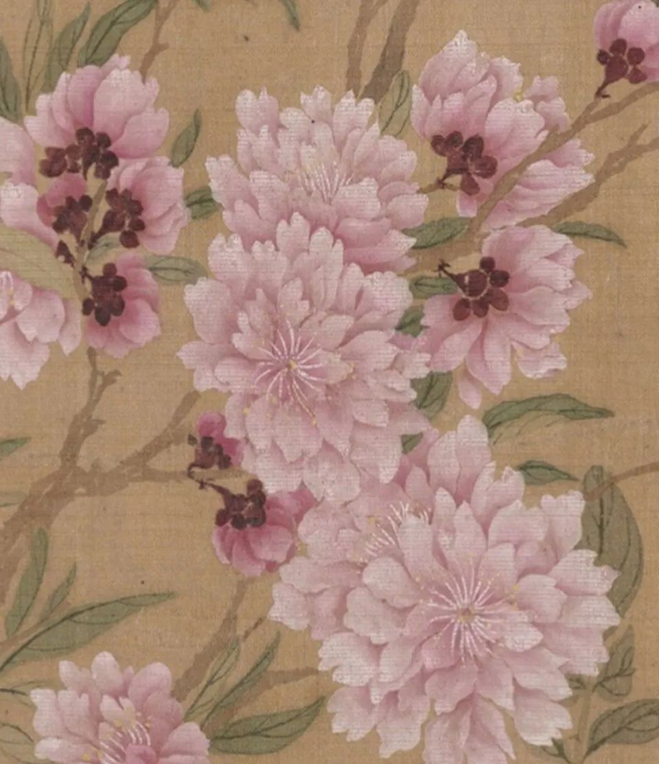 恽寿平《百花图》全卷与细节欣赏