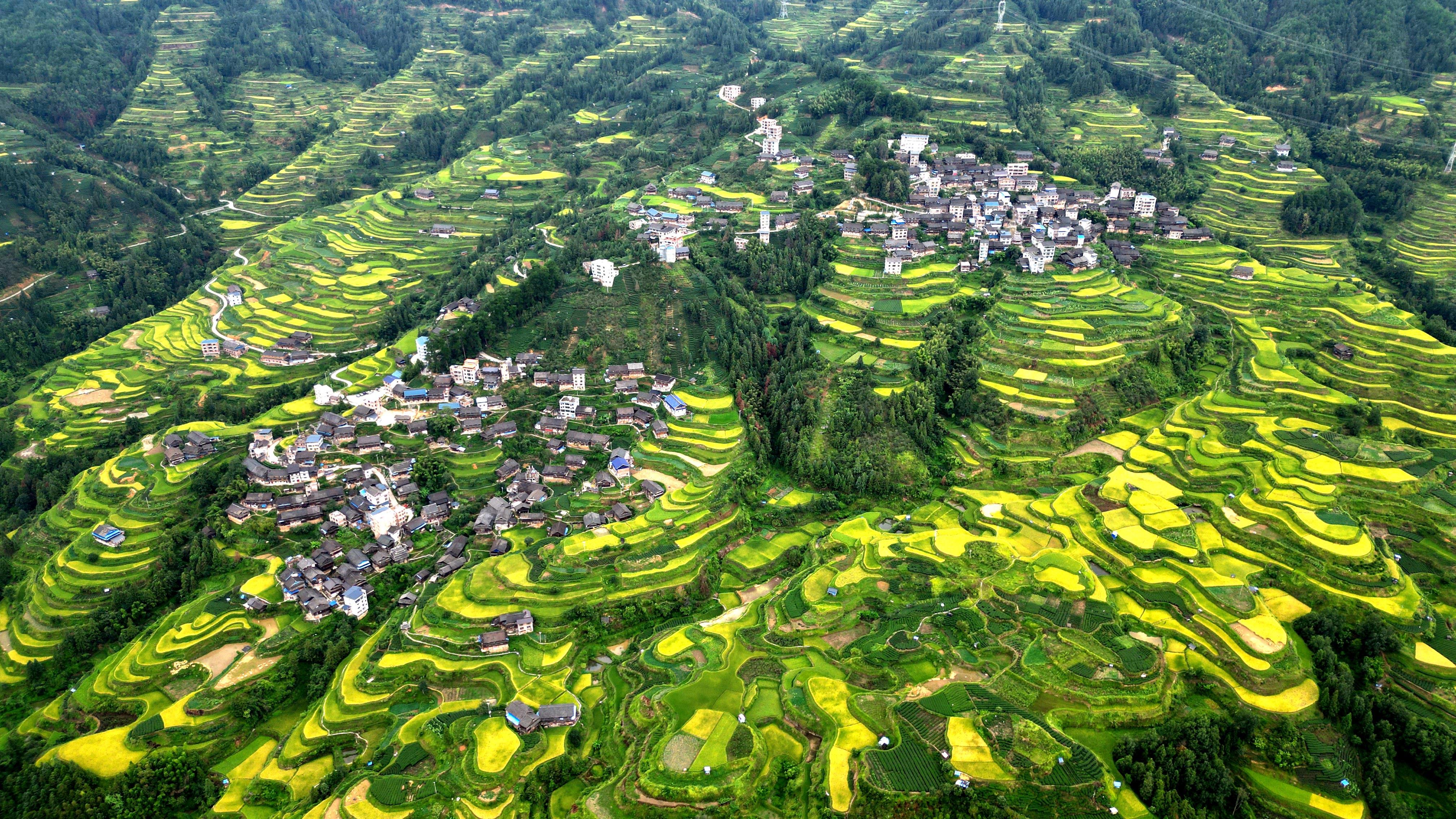 大山梯田图片大全图片