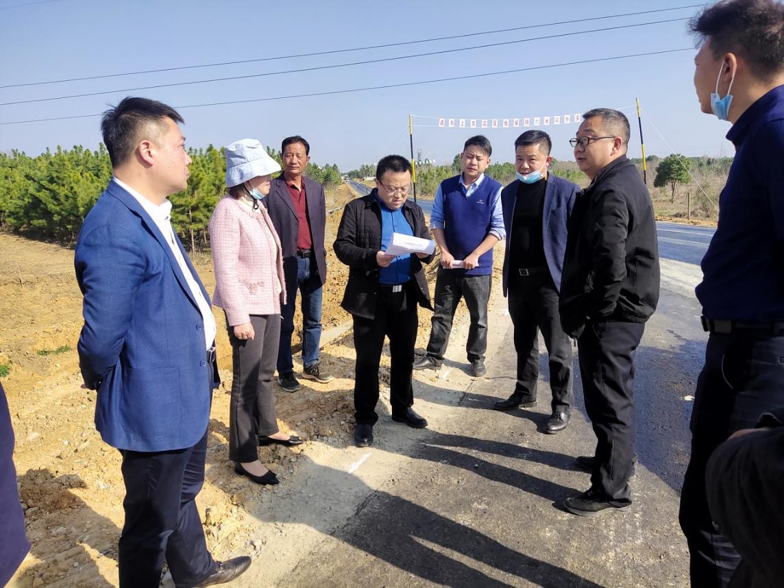 丁力副区长调研"五路八桥"项目