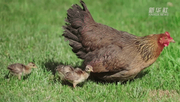 360_203gif 动态图 动图