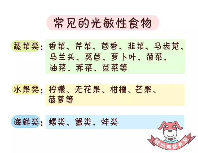 光敏食物 baijiahao.baidu.com