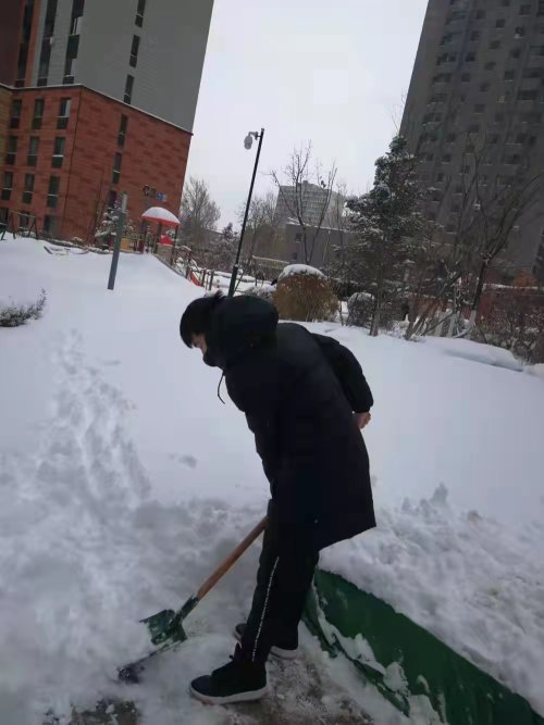 沈阳市第九中学学子走出家门义务扫雪,传递正能量!