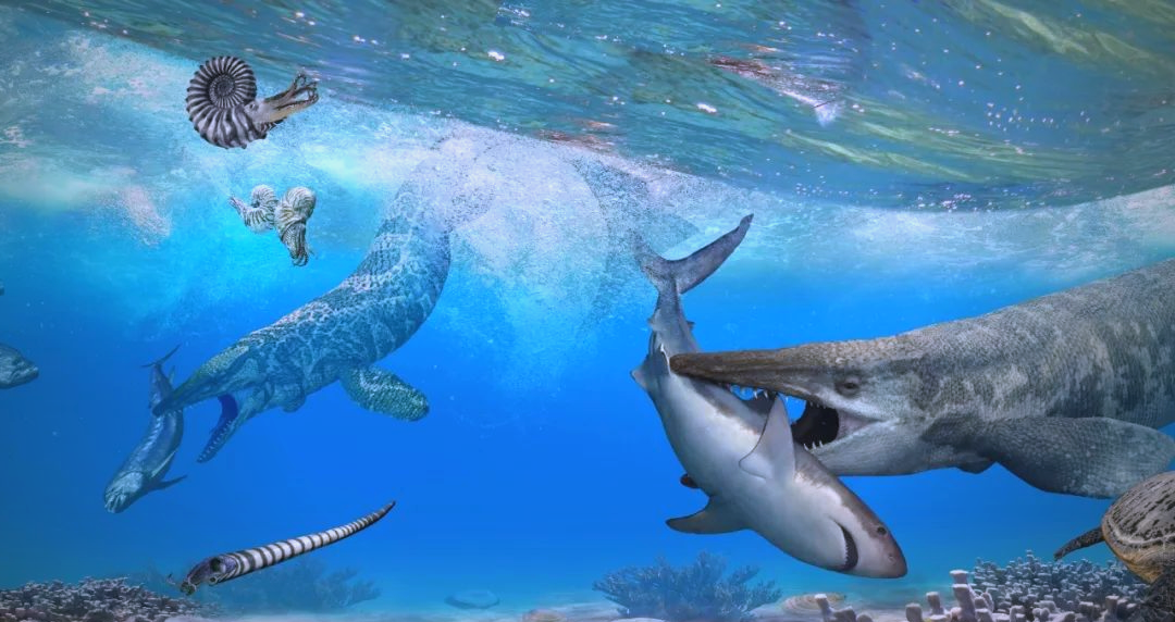 海王龙化石揭示白垩纪海洋中的捕食奥秘