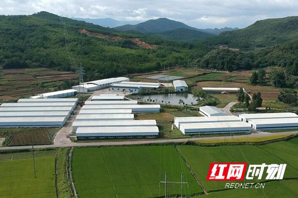 江华大路铺镇:盘活闲置房屋 助力乡村振兴