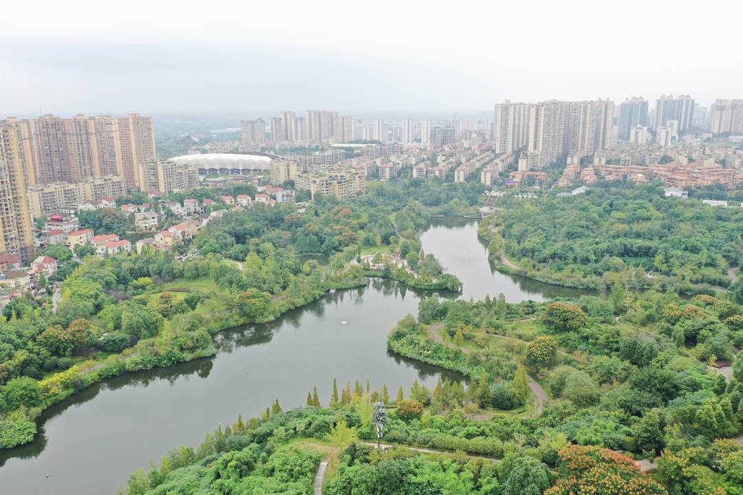 寻找成渝文旅新地标|精心养活"城市绿肺" 自贡南湖生态公园构建起独有