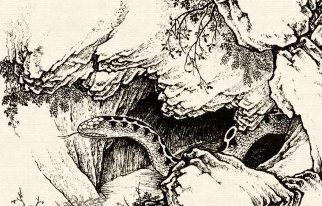 民间故事:蟒蛇精想当皇帝,求玉帝赐官被砍36段,当了36年秦始皇