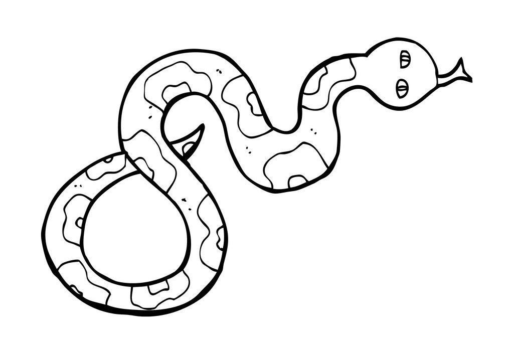 2平方公里岛屿中藏着2万条致命毒蛇