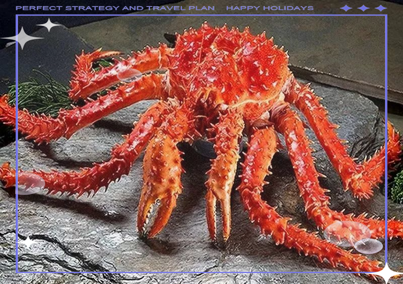 帝王蟹为何呈现红色?揭秘虾青素的奥秘