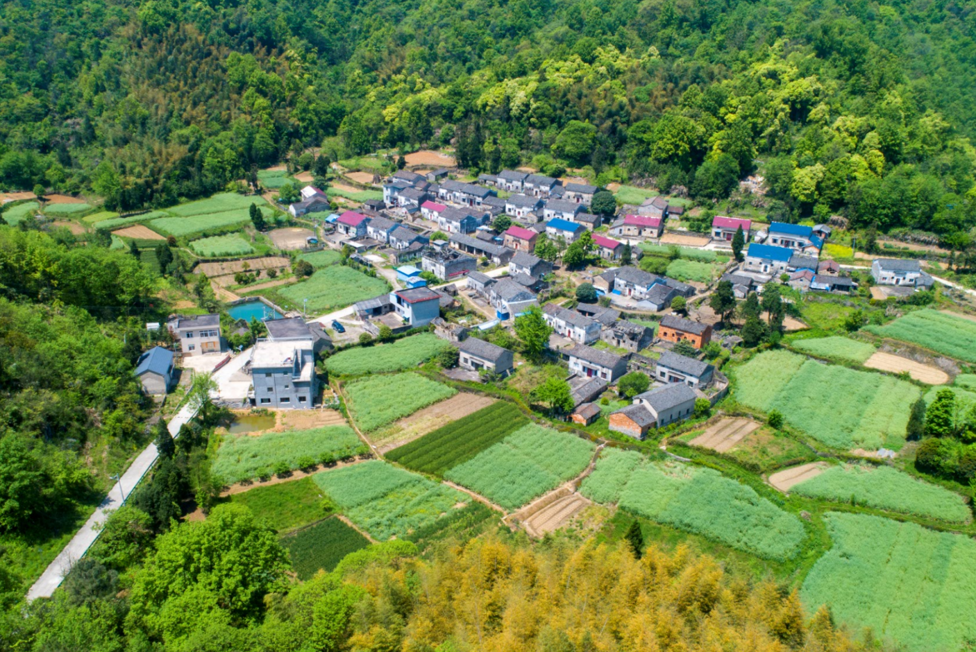 安徽东至曹村村早谋划,出真招扎实推进宅改工作