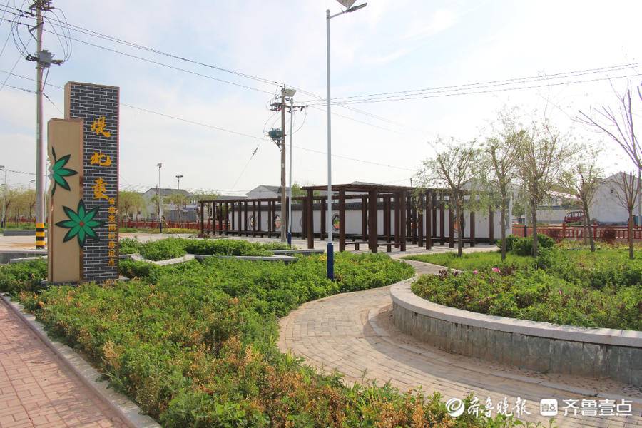 乐陵市杨安镇堤北董村:文明乡村"面子"美"里子"实