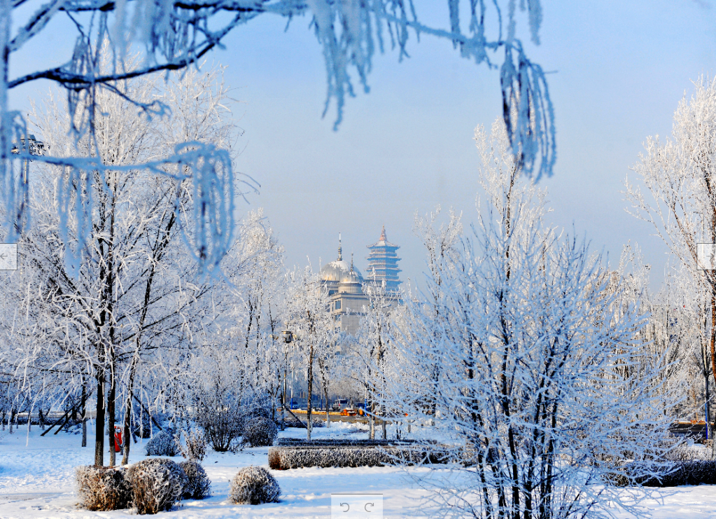 雪花飘飘的美图图片