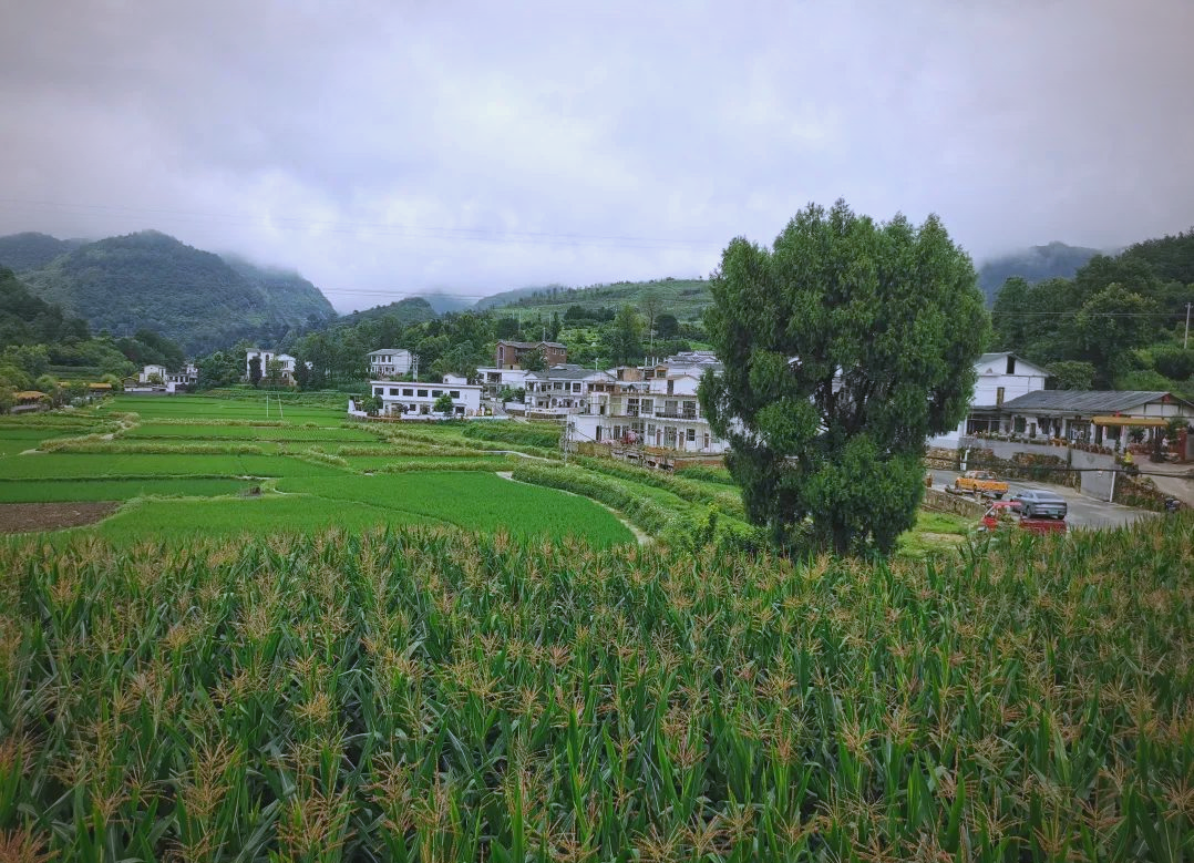 花溪区黔陶乡:打造多元化旅居项目,引领产业升级与乡村振兴